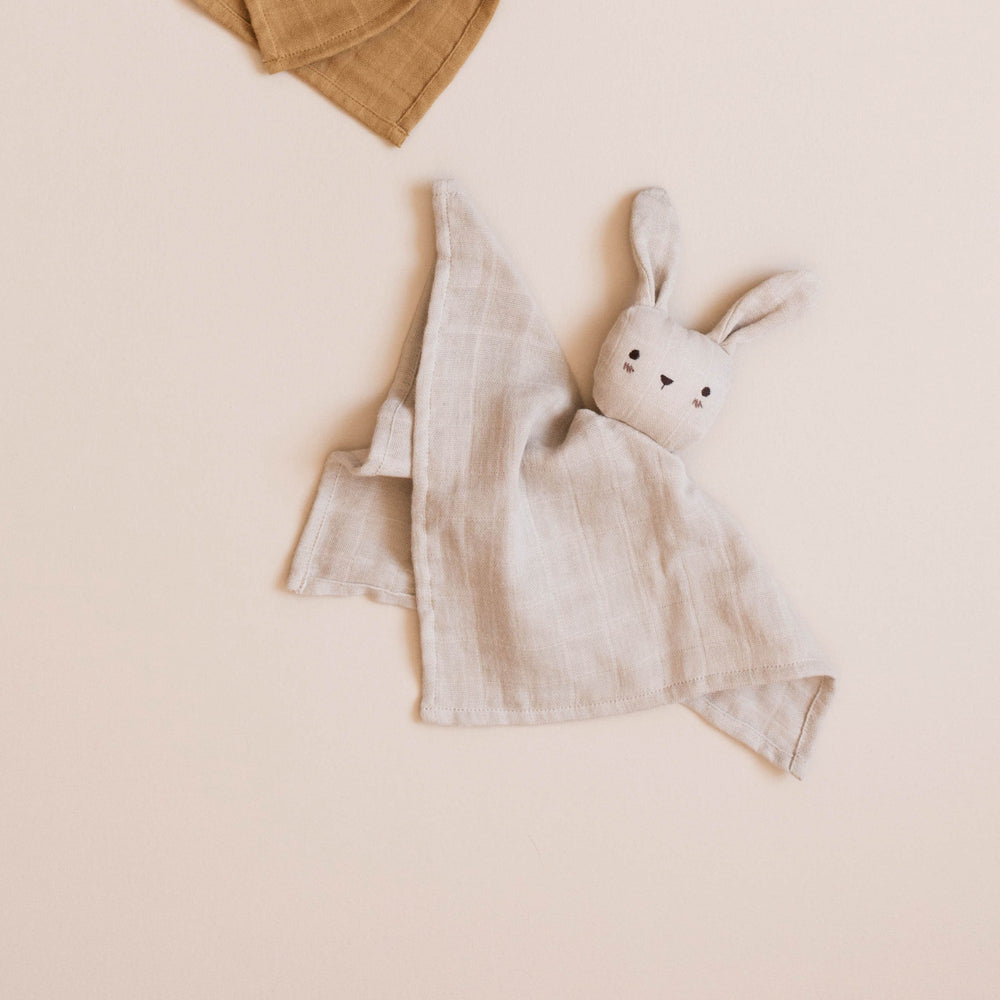 Cuddle Cloth | Bunny