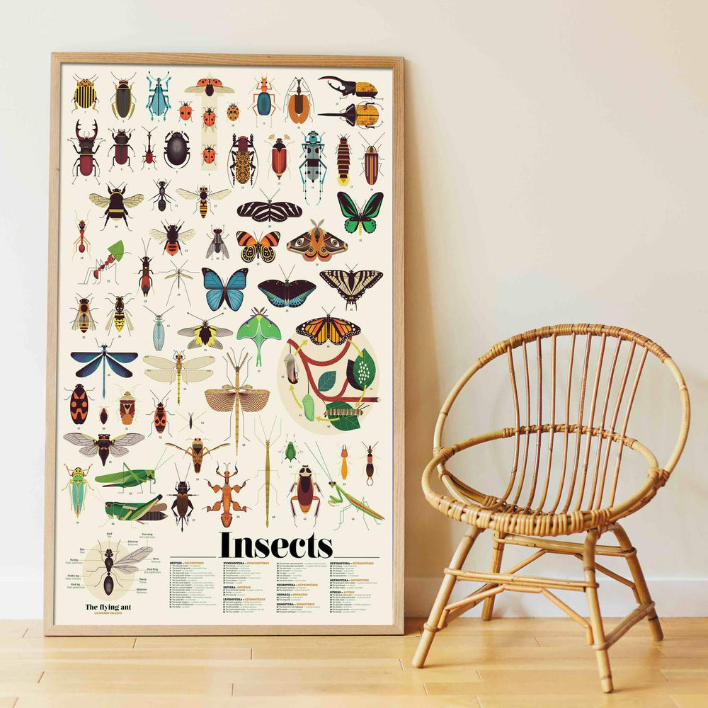 Giant Activity Sticker Poster - Insect with 44 Removable Stickers by Poppik