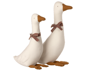 Goose, Small