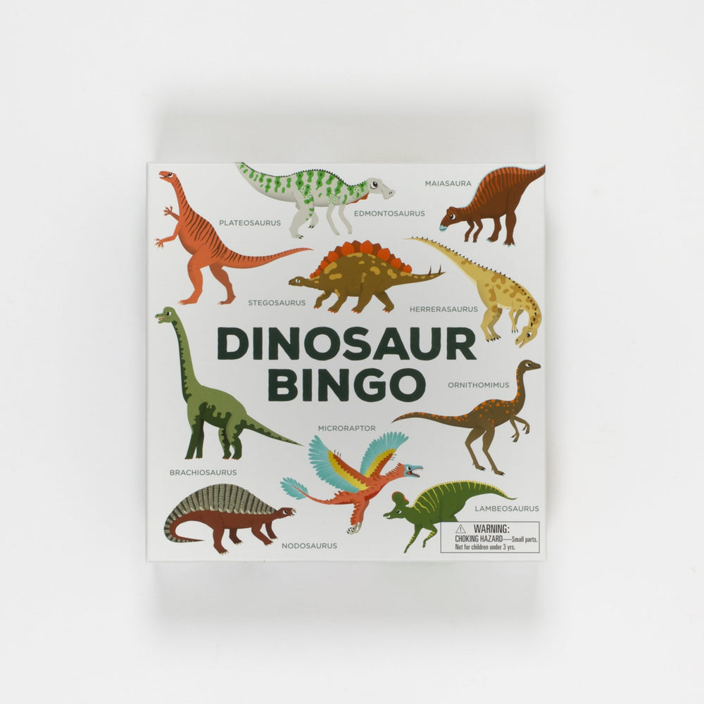 
                
                    Load image into Gallery viewer, Dinosaur Bingo Game
                
            