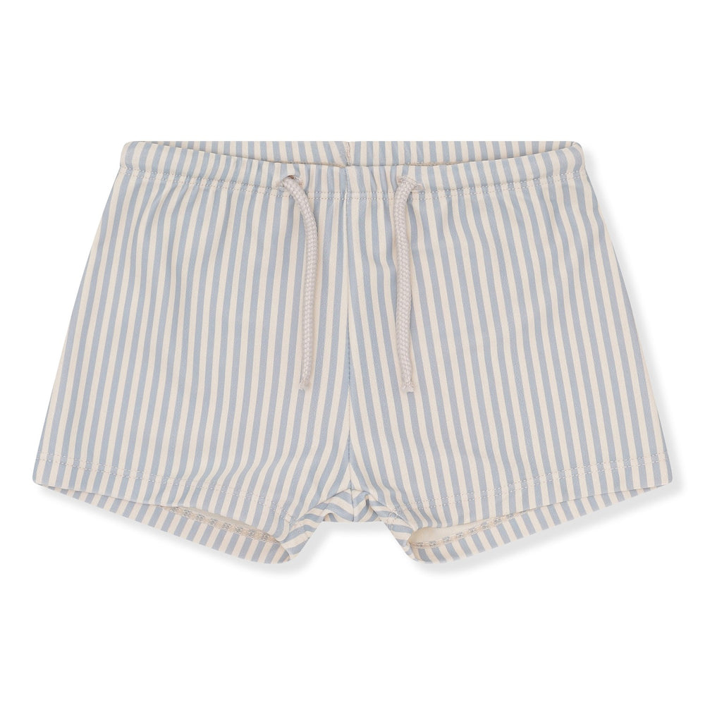 ASTER Swim Shorts | Light Blue Stripe