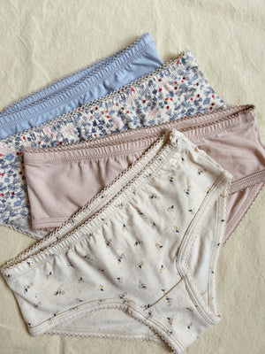 4 Pack Underpants | Rose Hip Blue