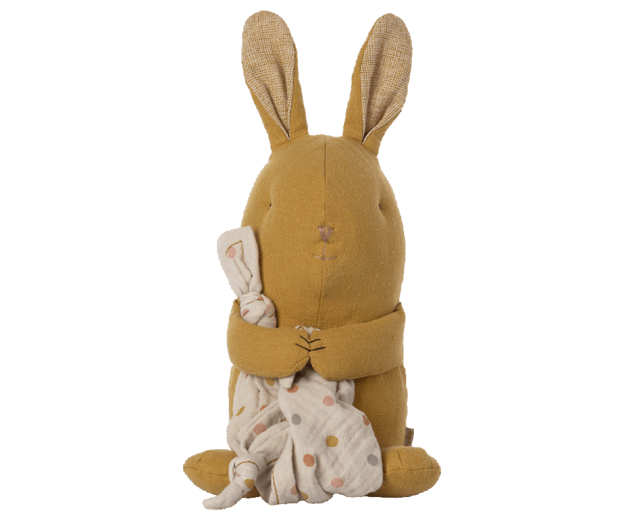 Lullaby Friends Musical Bunny - Plush Toy