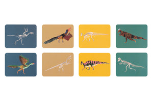 
                
                    Load image into Gallery viewer, Match These Bones: A Dinosaur Memory Game
                
            