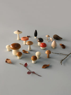 
                
                    Load image into Gallery viewer, Moon Picnic Forest Mushrooms in a Box
                
            