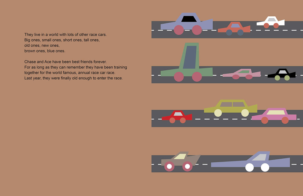Race Cars | A children's book about white privilege