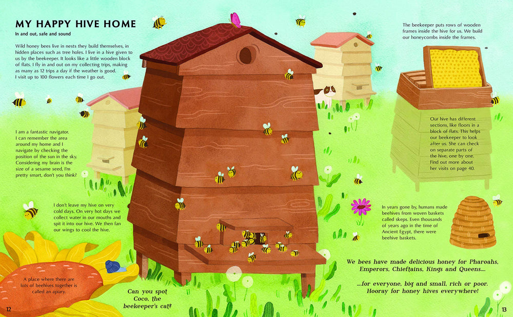 The Secret Life of Bees | Meet the bees of the world, with Buzzwing the honeybee