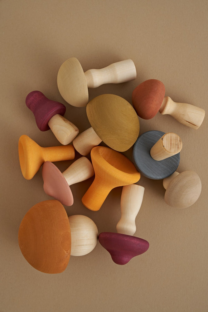 
                
                    Load image into Gallery viewer, Wooden Mushrooms Set
                
            